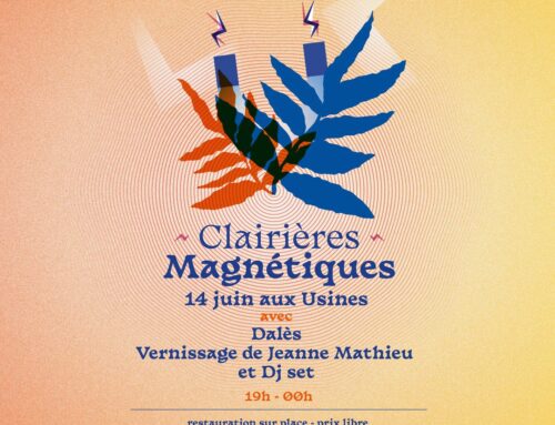 Clairières Magnétiques